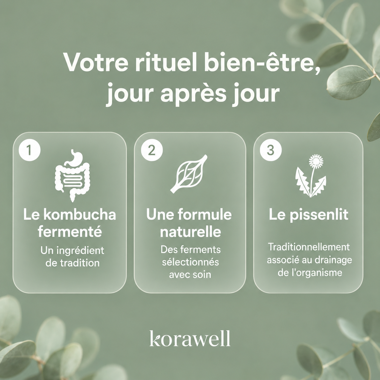 Gommes gélifiées probiotiques au kombucha